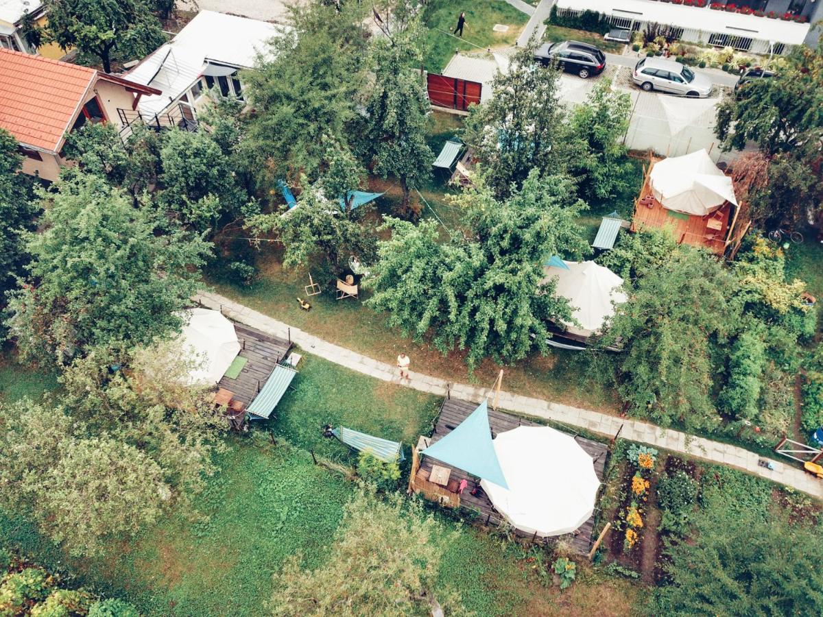 Dragonfly Studio With Garden Braşov Eksteriør bilde
